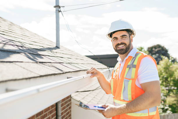 Best Chimney Flashing Repair  in Highland Park, IL